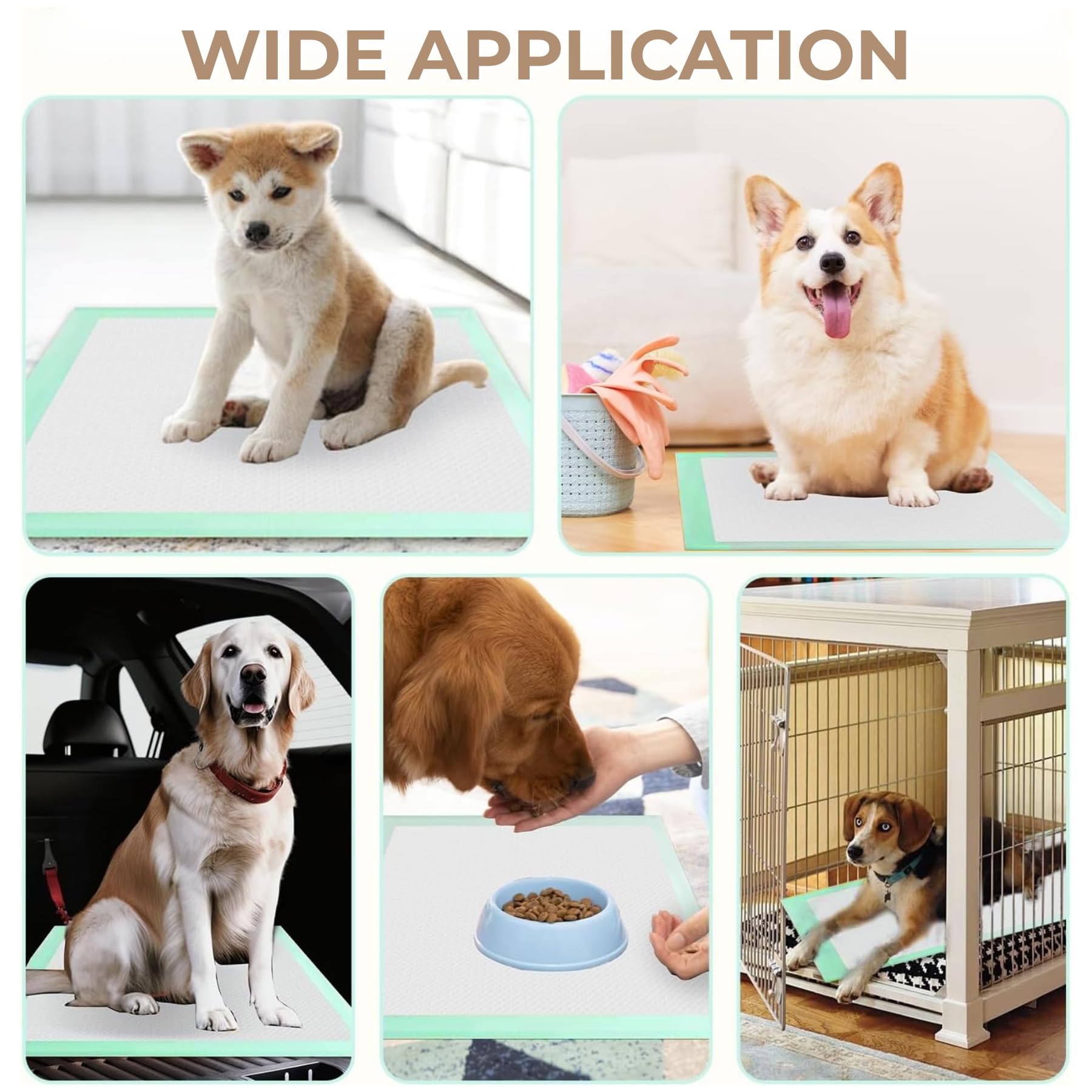 50 Stück PIPI Matten für Hunde, 60 x 90cm Welpen Unterlagen, Trainingspads mit Schnell Trocknender Oberfläche, Einmalunterlagen Auslaufsicheres 5-Lagiges Design Puppy Pads