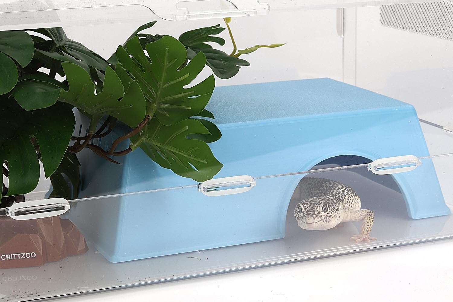 Piel de serpiente, accesorios de tanque de geco de leopardo para bola de reptil, pitón, crestado, gecko, lagarto y dragón barbudo - BlueHideXL