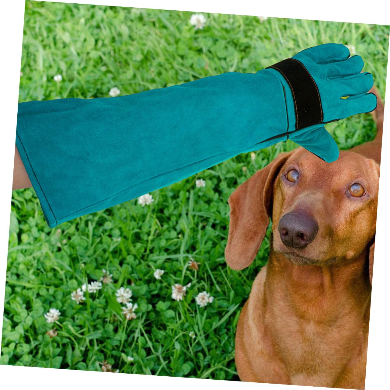 TOYANDONA Moufles de Protection Cuir Synthétique pour Chat et Chien Anti-Morsure Résistants aux Rayures, Ajustement Ergonomique, pour Soudure et Manipulation D’Animaux