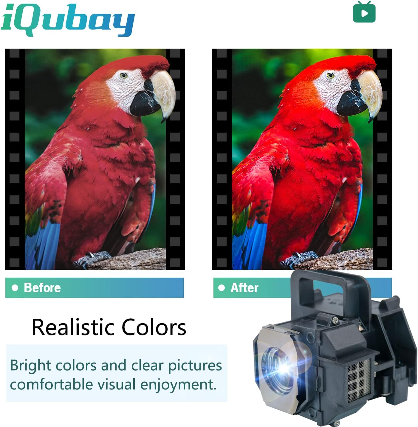 ELPLP49 V13H010L49 Replacement Projector lamp Bulb for Epson PowerLite Home Cinema EH-TW2800 TW2900 TW3000 8350 8345 8500UB 8700UB H373A H336A 8100 6100 6500UB 7100 7500UB with housing