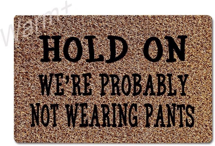 Warm+ Hold On We're Probably Not Wearing Pants Door Mat Silk Loop Home Decor Outdoor Indoor Mats for Entry Front Floor Mats 23.6 x 15.7 Inches
