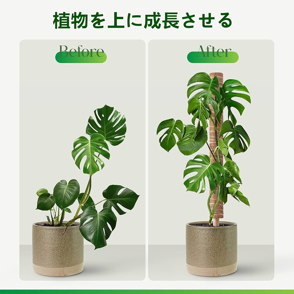 飾り台　支柱 81JySsKukML._UF350,350_QL50_.jpg