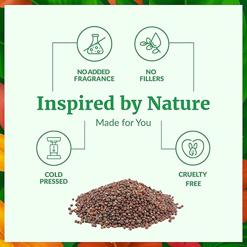 Miniatura 3 de SVA Aceite de semilla de brócoli  4 onzas líquidas  Aceite de brócoli prensado en frío 100% natural  para cara, cuidado de la piel, cuidado del