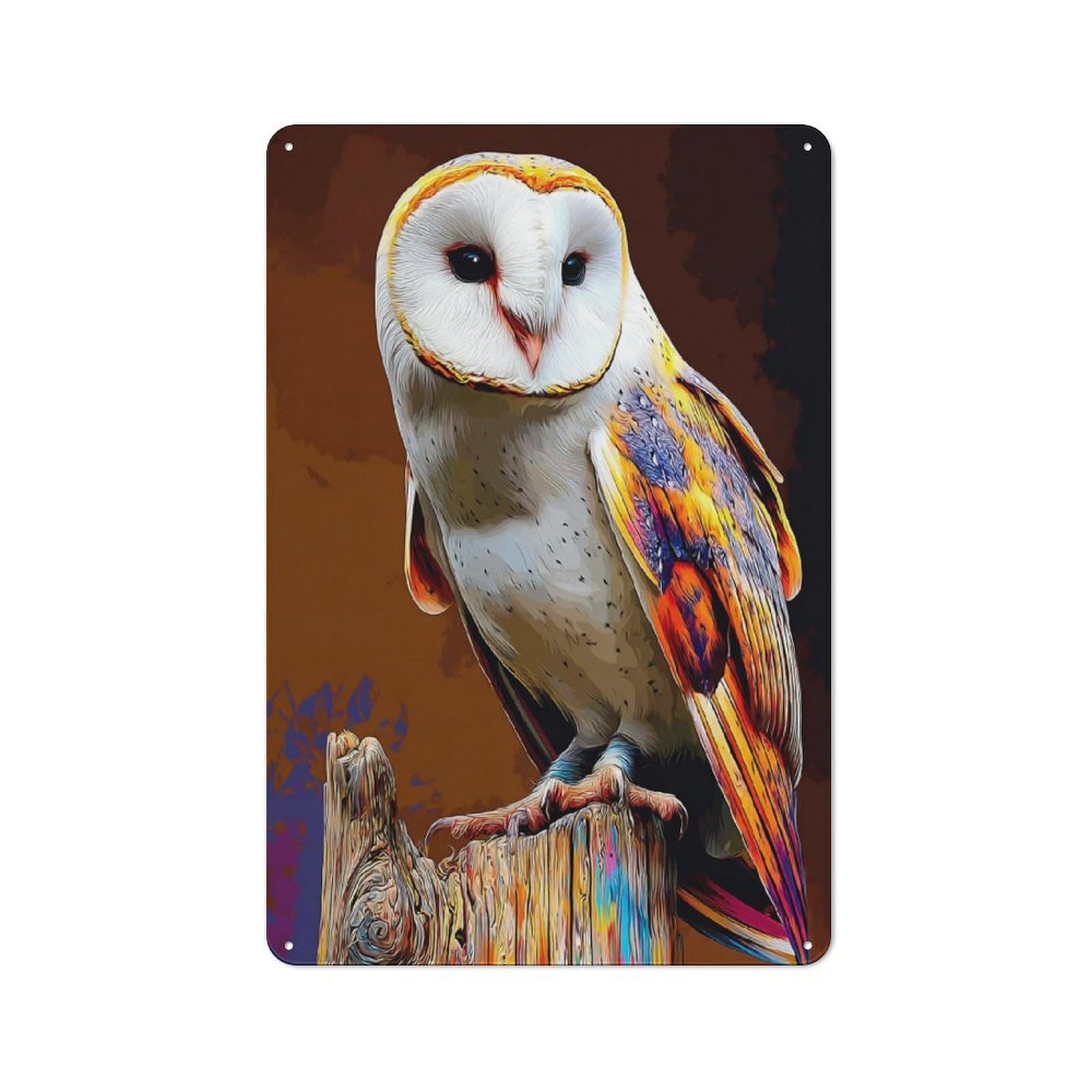 Junmoney Colorful Barn Owl Artwork-2 Vintage Bistro Metal Sign 30X20cm, Bistro Wall Plaque For Takeaway, Bar, Kitchen Or Counter Area