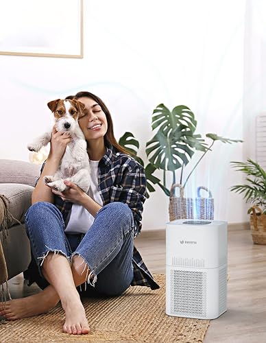 Miniatura 6 de Purificadores de aire HEPA para habitación grande en el hogar, CADR 300+ m³/h 1290sqft, con filtro de aire HEPA extra H13 para humo Wildfire