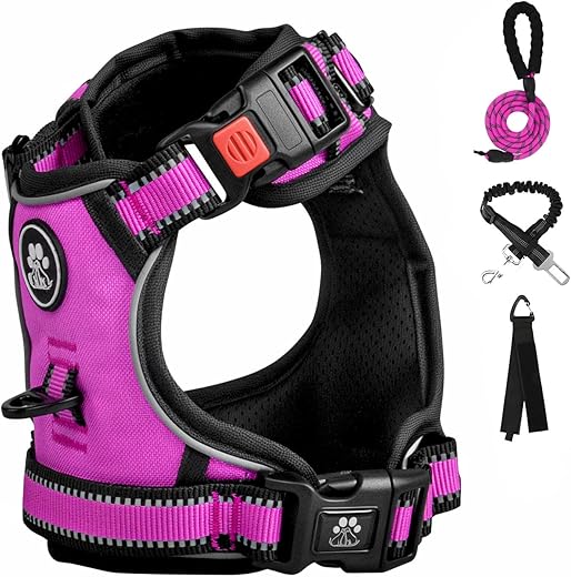 FURRYFECTION No Pull Dog Harness, Reflective Vest Harness with Leash No Choke Soft Padded Dog Vest, Adjustable Front Lead Dog Harnesses with Dog Seat Belt for Small Medium Large Dogs, Rose, L