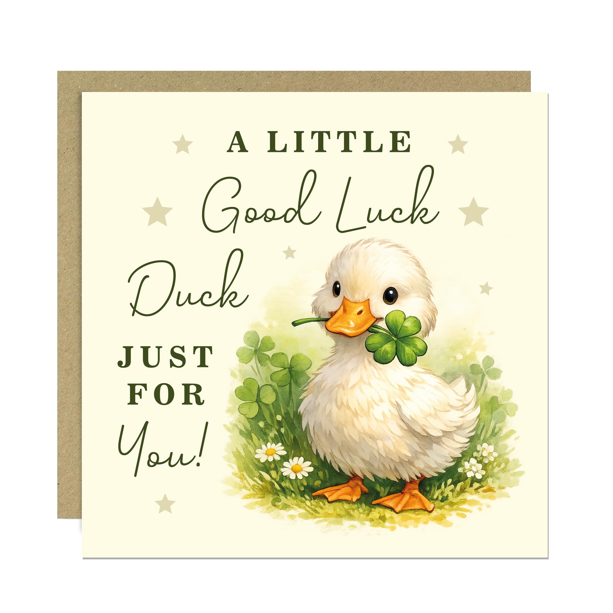 RED OCEAN Good Luck Duck Card, Retirement Leaving Farewell, New Job, Housewarming, Exams, GCSEs, A-Levels, Driving Test 145x145mm With Kraft Envelope