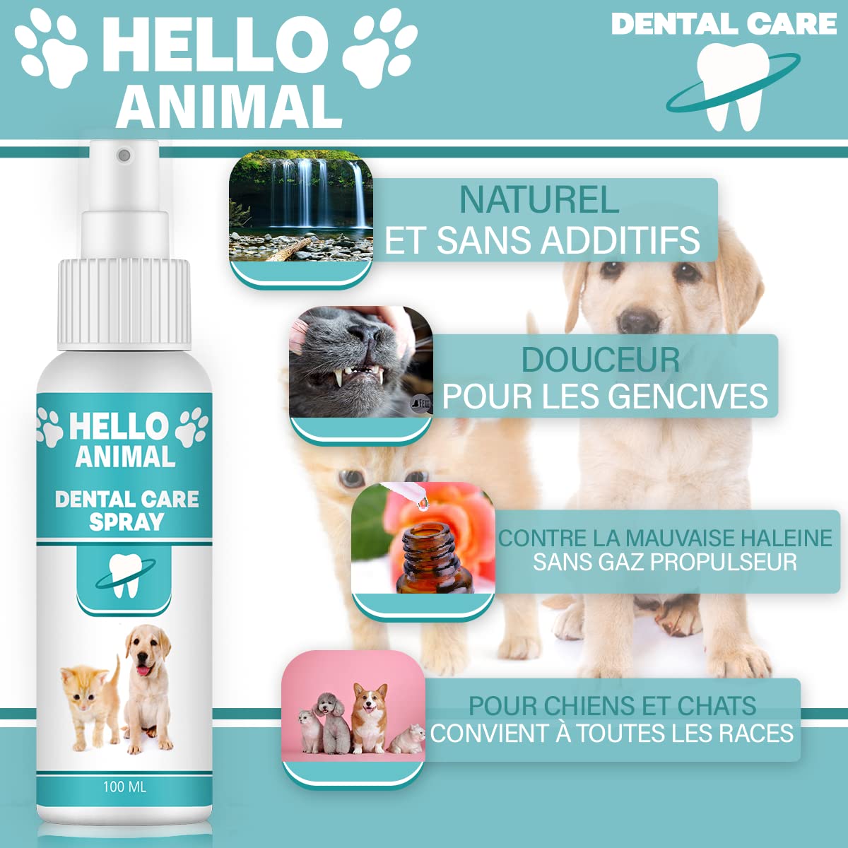 NOUVEAU : HelloAnimal® - SPRAY DENTAIRE pour chiens et chats – détartrage entre les dents – soin dentaire/nettoyage des dents, contre mauvaise haleine, anti-plaque et tartre, contient 100 ml