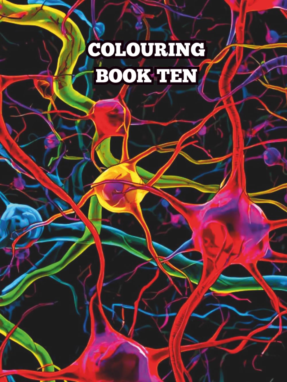 COLOURING BOOK TEN (PICTURE COLOURING BOOKS)