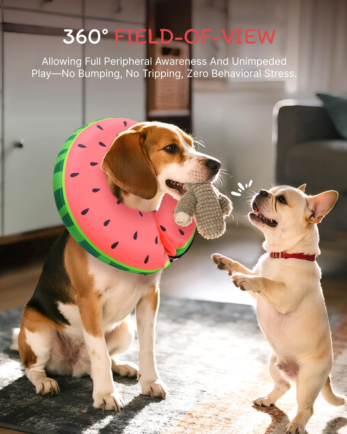 MIDOG Dog Cone, MD-102B-Watermelon-S-fffffxxxx