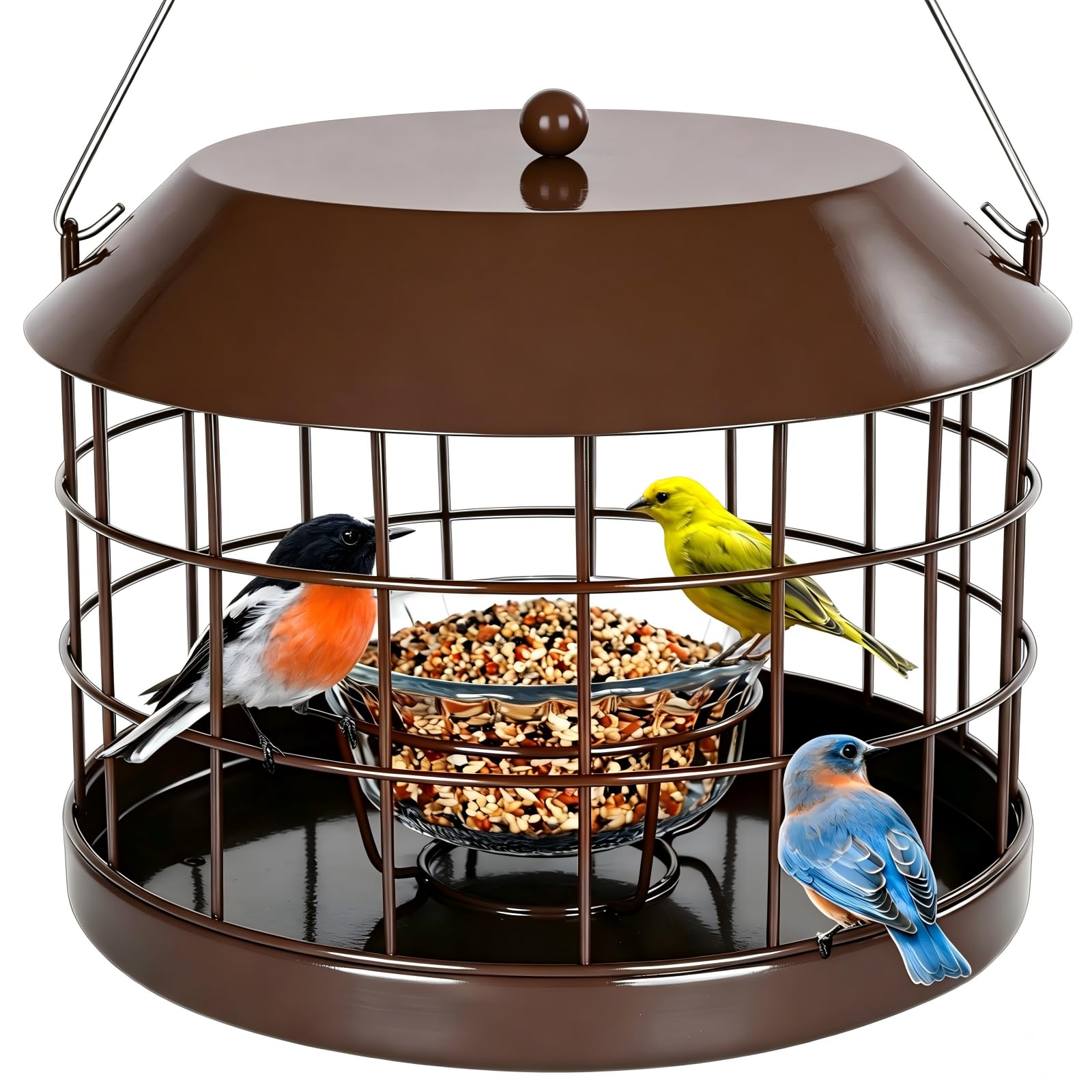 Gbekery Mangeoire en cage pour vers de farine avec bol en verre, mangeoire à oiseaux anti-écureuils pour petits oiseaux uniquement, crochet amovible, grand espace, extérieur, résistant aux intempéries