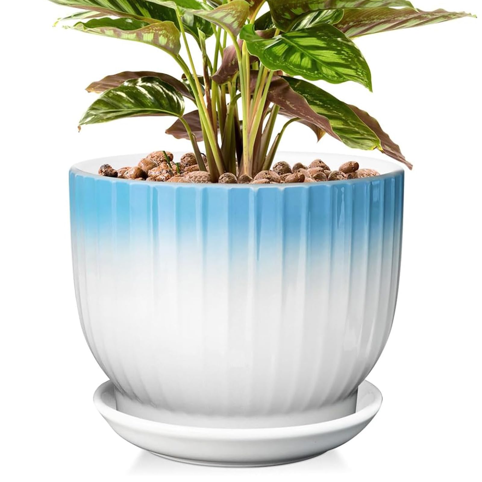 YUFDA 8 Inch Plant Pot, Ceramic Planter with Drainage and Saucer, Ceramic Pots for Plants, Indoor Plant pots,Ceramic Flower pots(Blue + White, Plants