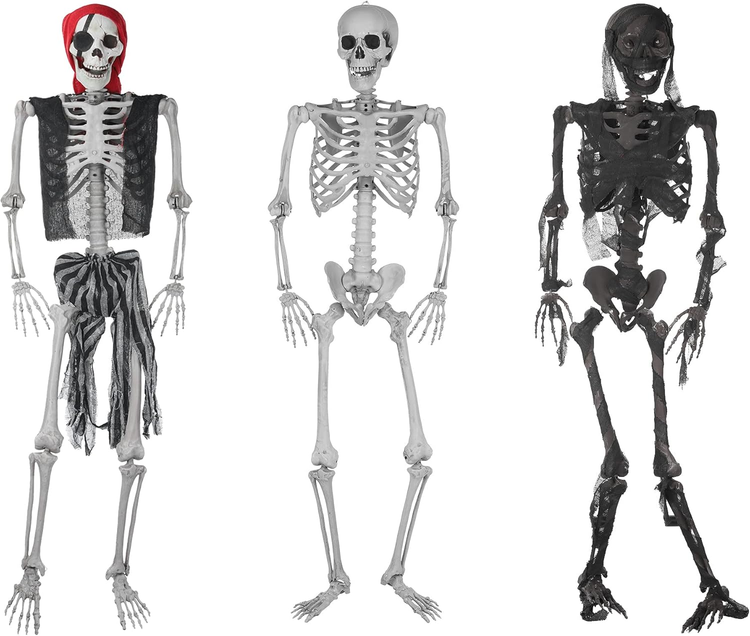 Life Size Posable Halloween Skeleton 65Inch/165cm Hanging