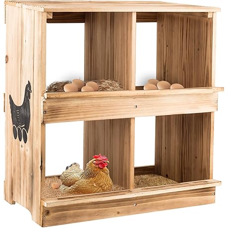 4 Compartment Chicken Nesting Box: A Haven for Happy Hens