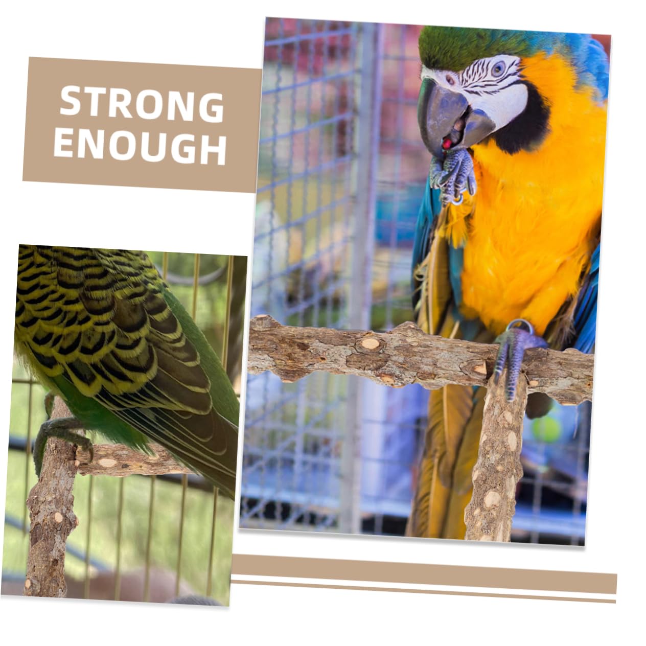 Kisangel 10pièces Perchoir à Oiseaux Naturel pour Oiseaux De Compagnie Bâtons De Meulage pour Perroquets Et Perruches Accessoire Exercice Jouet Interactif