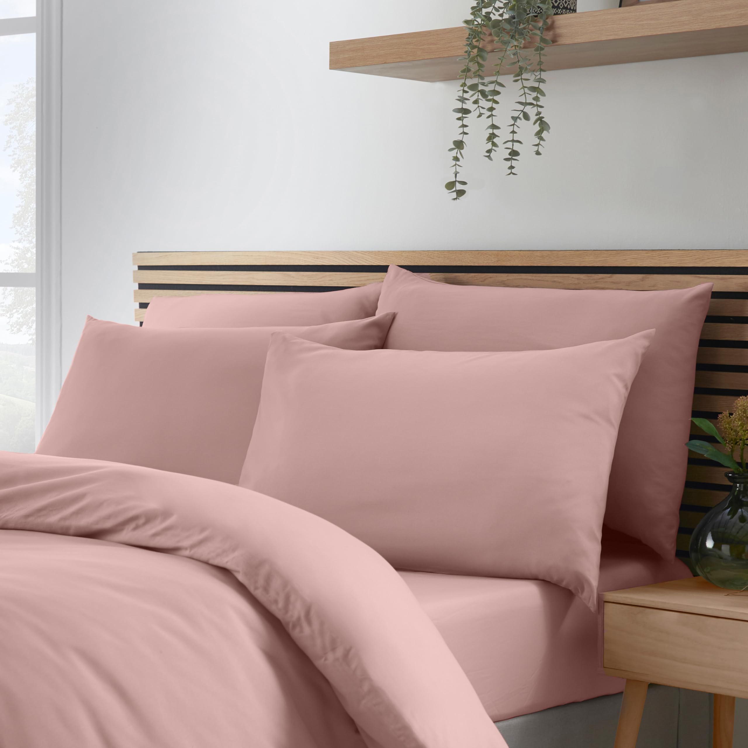 Catherine Lansfield So Soft Non-Iron Standard Pack of 4 Pillowcases Blush Pink
