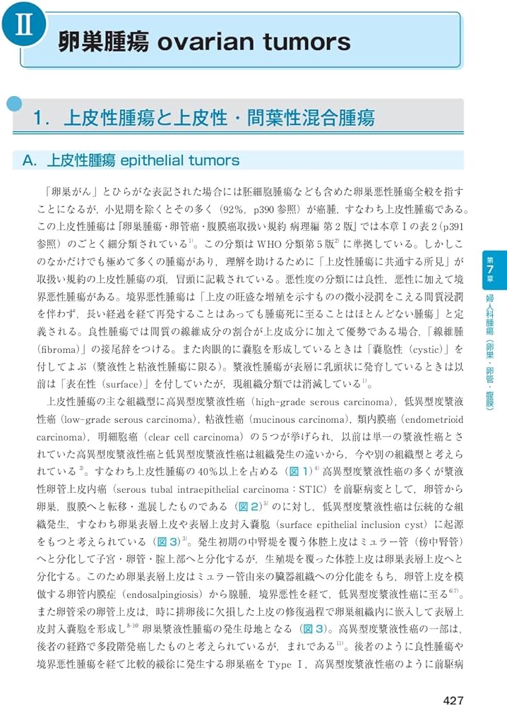 産婦人科の画像診断 第2版 | 田中 優美子 |本 | 通販 | Amazon