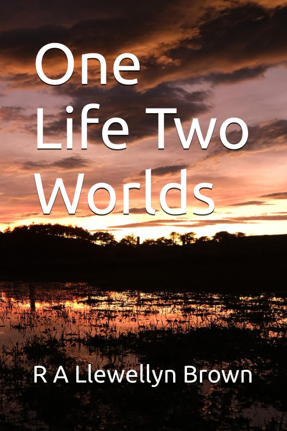 One Life Two Worlds