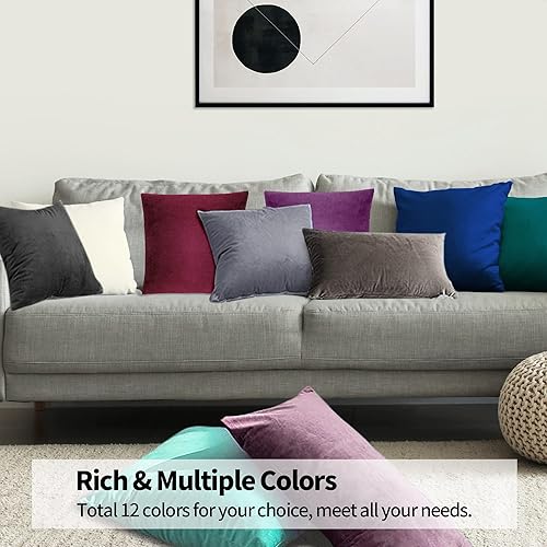 Miniatura 7 de NEXCOVER Fundas de almohada de terciopelo, paquete de 4 fundas de almohada, 16 x 16 pulgadas, funda de almohada cuadrada decorativa, funda de cojín
