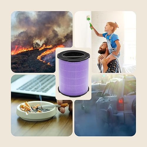 Miniatura 5 de WELOV P200S - Filtro absorbente de toxinas 2 paquetes, 3 en 1 H13 True HEPA y filtro de carbón activado de alta eficiencia para formaldehído,