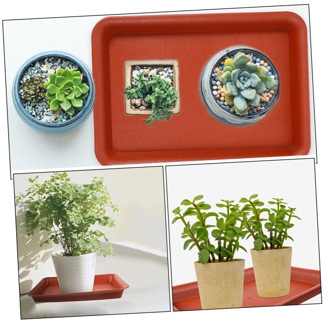 Tofficu 10 Vassoi Rettangolari Per Vasi – Sottovasi In Plastica Antigoccia – 18 X 14 Cm – Colore Rosso – Per Piante Grasse, Bonsai E Fiori