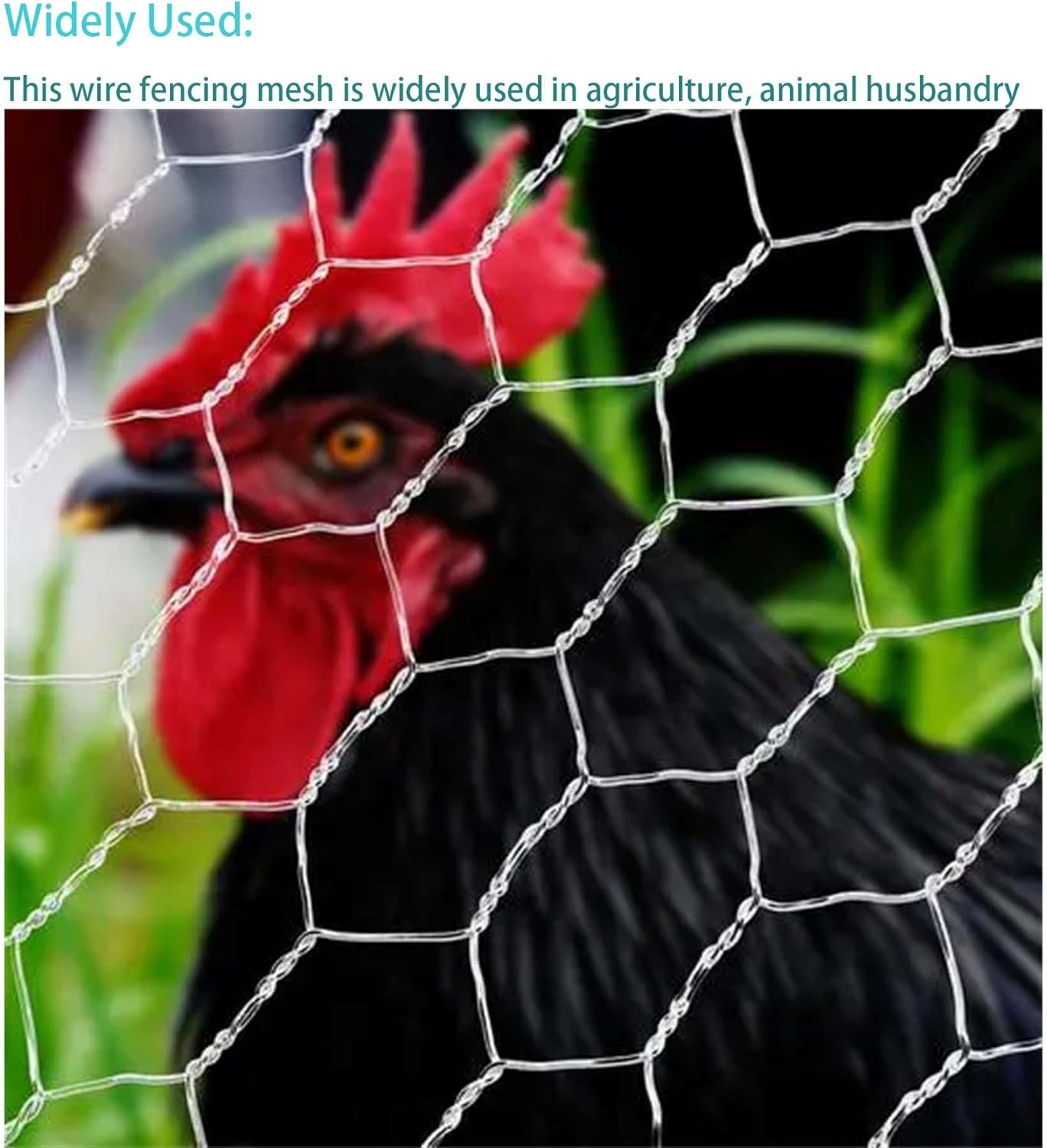 72 in x 50 ft, 2 inch Metal Mesh Pencing, Chicken Wire Fencing, Hexagonal Galvanized Poultry Wire Netting for Chicken, Duck, Goose, Rabbit Fencing