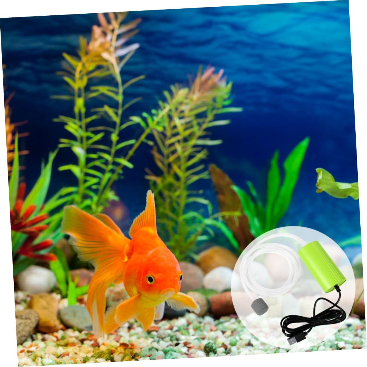 Happyyami 3piezas Mini Bomba De USB para Acuarios Silenciosa y Energéticamente para Peceras y Actividades De Pesca Al Aire