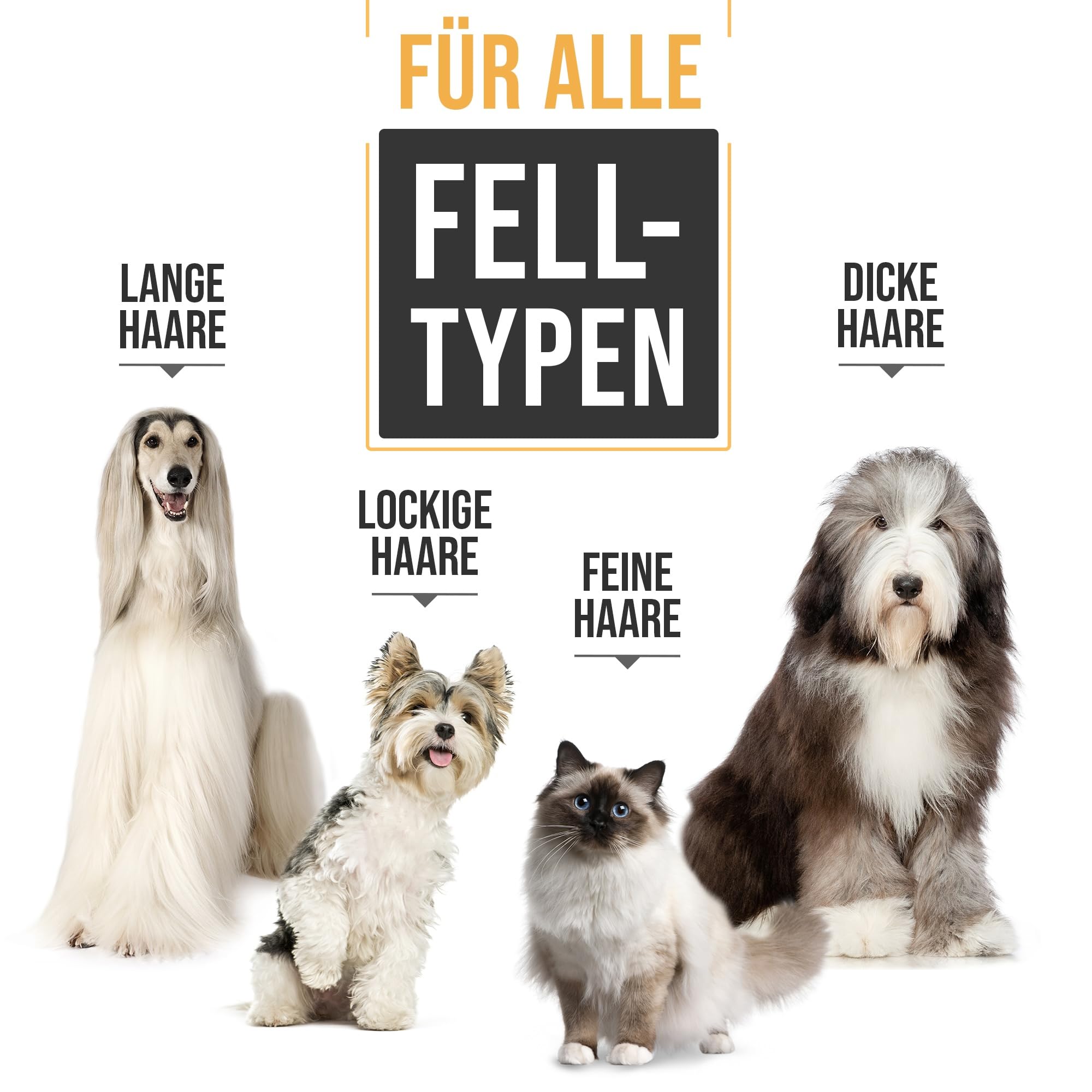 PetKing Premium Hundeschermaschine Profi – Leise Kabellose Tierhaarschneidemaschine mit Titanklinge für Hunde & Katzen, Langhaar, dickes & verfilztes Fell, Hund Katze Schermaschine Set