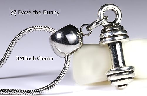 Vista 3 de Dave The Bunny Regalos de ratas de gimnasio collar de mancuernas para hombres o collar de levantamiento de pesas para hombres y mujeres, Acero