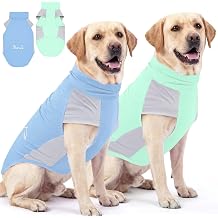 Lukovee 2 Pack Dog Sun Protection Shirt - SPF50+ Lightweight Breathable Quick Dry, Stretchy Reflective Sunblock Summer T-Shirt for Small Medium Large Dogs Blue&Green, L