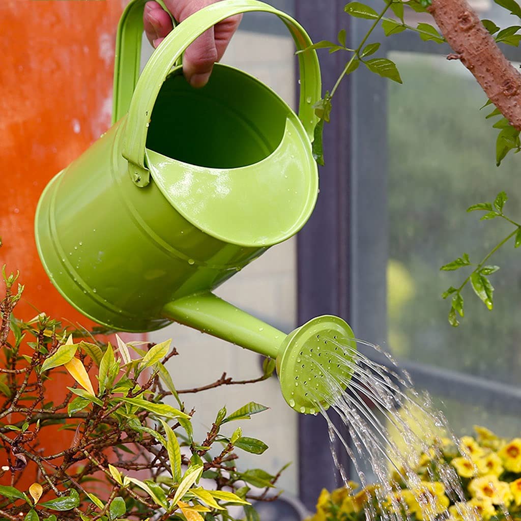 Gartengießkannen Die Bewässerung kann für Innenpflanzen, Metallwasserdämmer mit Griff und Roseheind für Außen- und Innenhäuser-Pflanzen, 1,5l, 3 stück Für Hauspflanzen