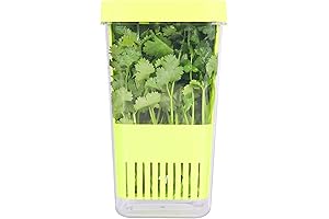 Capsulas para guardar el cilantro, hierba fresca, 3 veces más tiempo-1 pieza verde