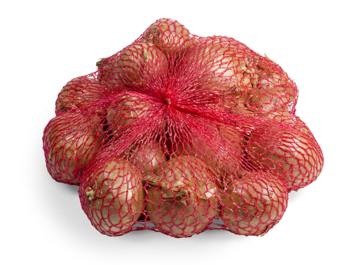Chrestensen Pflanzschalotten Red Sun 500g Steckzwiebeln Allium cepa Rot