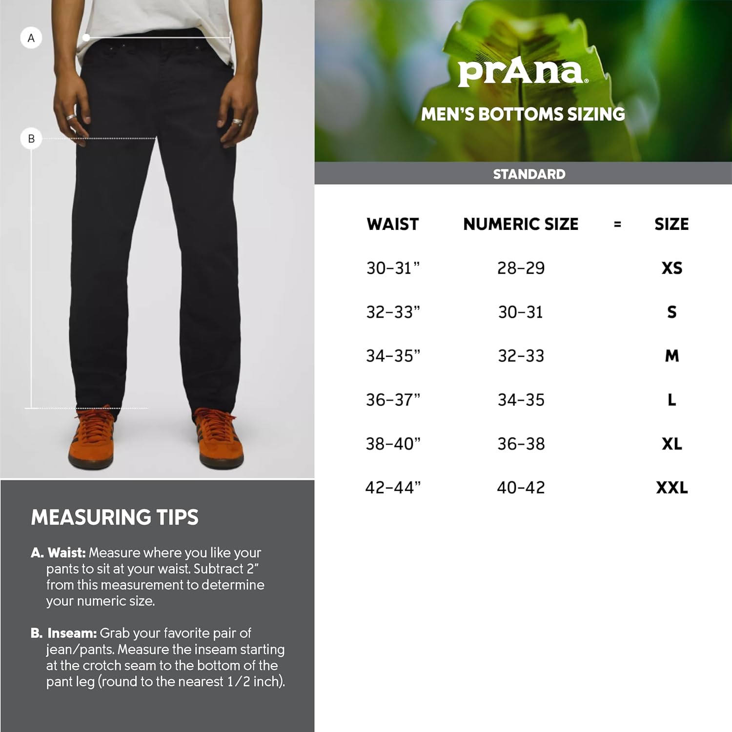 prAna Altitude Tracker Jogger II - Medium - Image 4