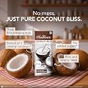 Dabur Hommade Coconut Milk - 800ml (200ml x 4) | Extract of 2 Creamy Coconuts | No Added Sugar | Creamy Taste gallery image