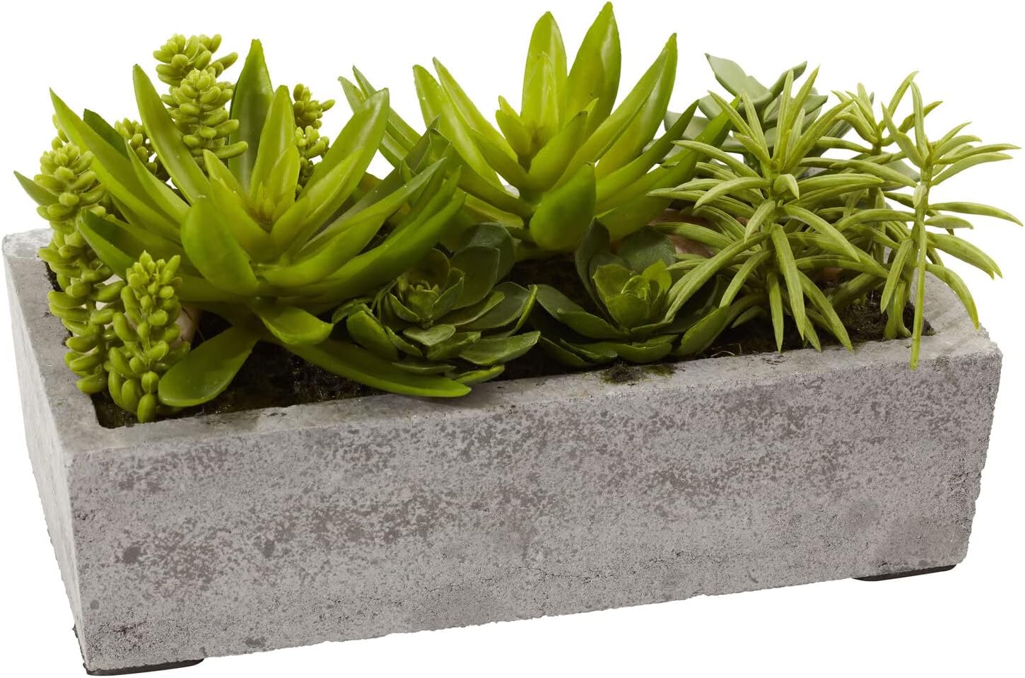 Decorative Outdoor Tabletop Succulent Ensemble in Cement Planter