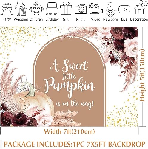 Miniatura 4 de Avezano Fondo de calabaza otoñal para baby shower, decoración de fiesta de baby shower, pancarta de calabaza pequeña está en camino, fondo de sesión