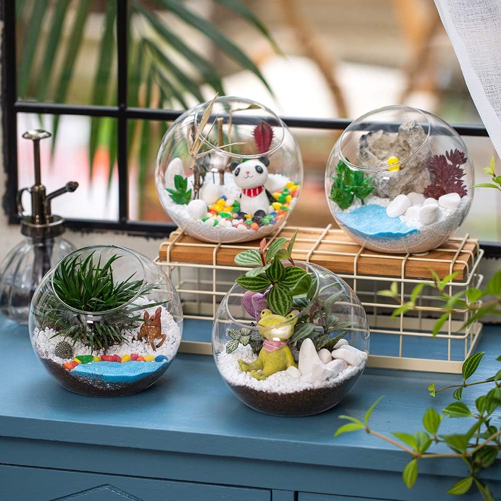Üveg terrarium gömbök szukkulensekhez