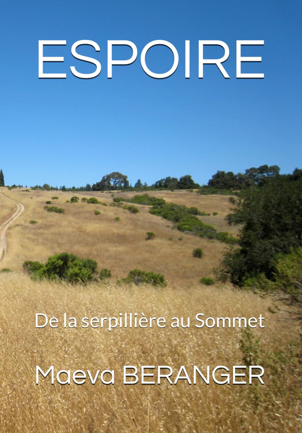 ESPOIRE: De la serpillière au Sommet