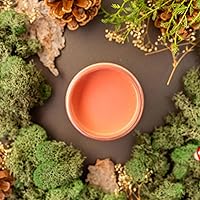 Vista 23 de Dixie Belle Paint Company - Pintura con acabado de tiza para muebles, color blanco lino (Drop Cloth), 8 fl oz, pintura mineral color blanco lino mate