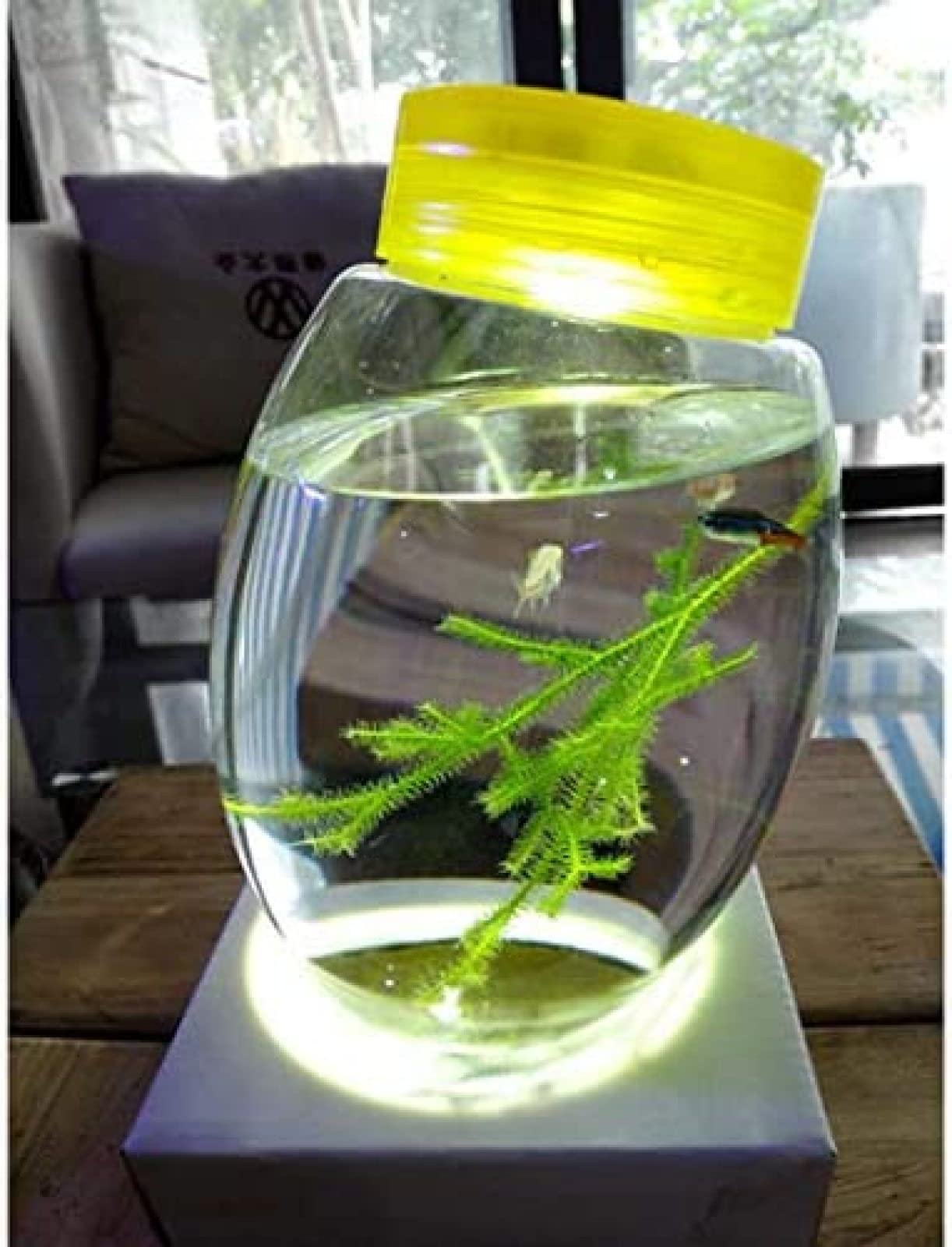 Mini Aquarium Ecosphere Gesloten Aquatisch Ecosysteem Desktop Aquarium Met Led Draaiende Basis Aquaria