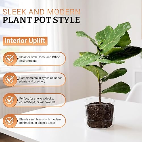 Miniatura 3 de Maceta de cristal transparente con agujeros de drenaje y bandeja, decorativa y moderna para todas las plantas de casa (4 pulgadas)