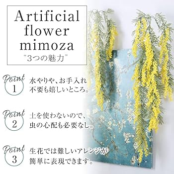 ご予約終了致しました　✾ミモザアカシア　生花✾ 　箱サイズ（３辺合計）140cm Amazon｜Kugusa ミモザ アカシア 造花 アーティフィシャル