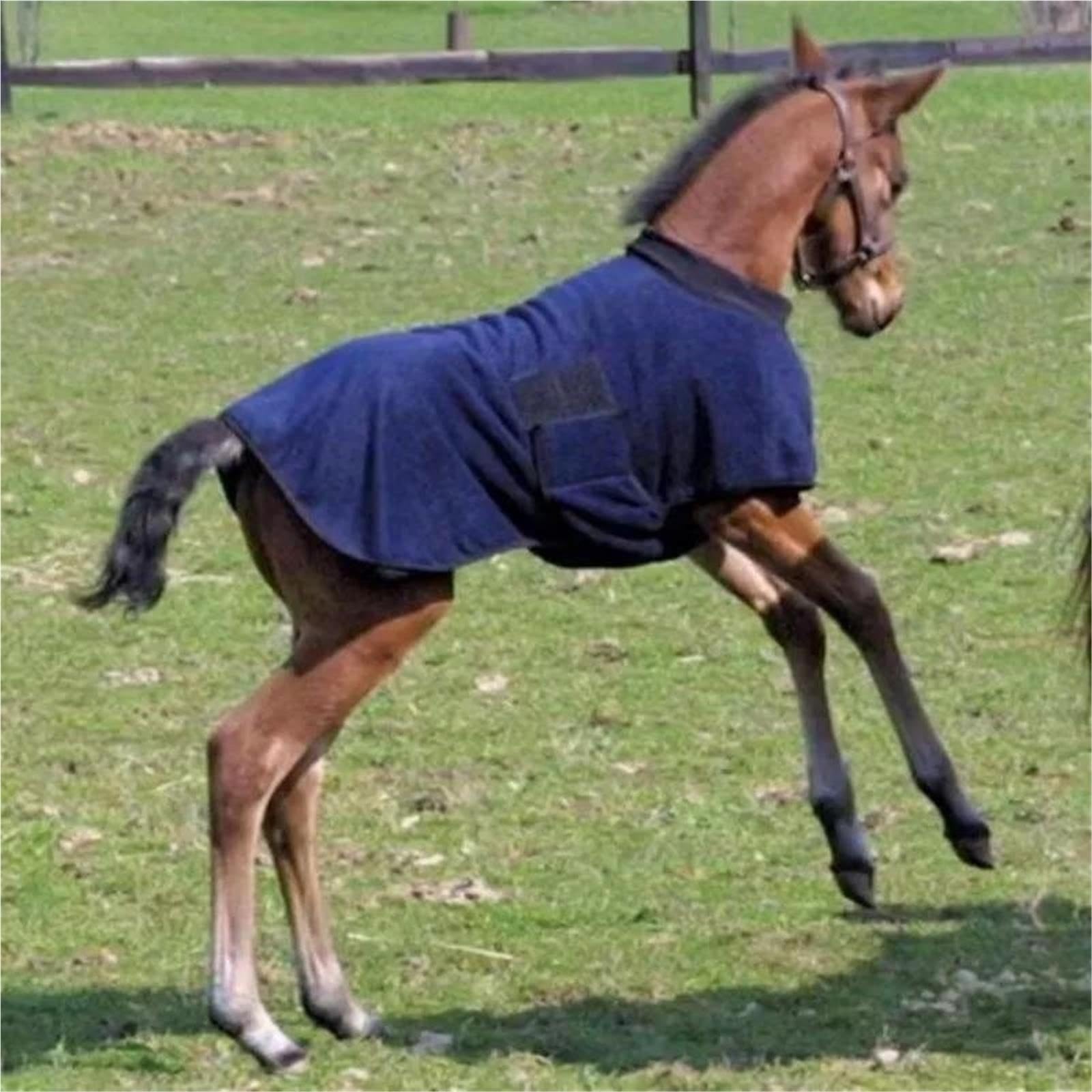 Coperta for Cavalli In Pile Di Poliestere | Materiale morbido e confortevole, ideale for l'uso nel dressage e nell'allenamento quotidiano