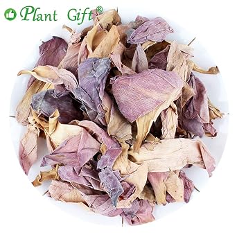 Plant Gift 100% Pure Lotus Flower Tea , Caffeine-Free 30g/1.05oz Herbal