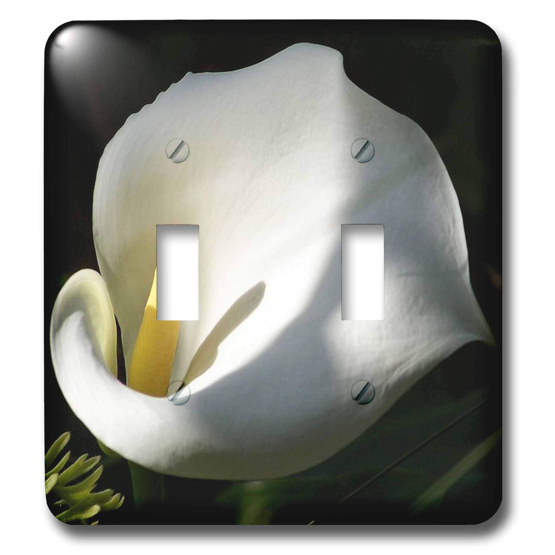 Interruptor de palanca doble 3dRose lsp_21385_2 placa decorativa cala de flores