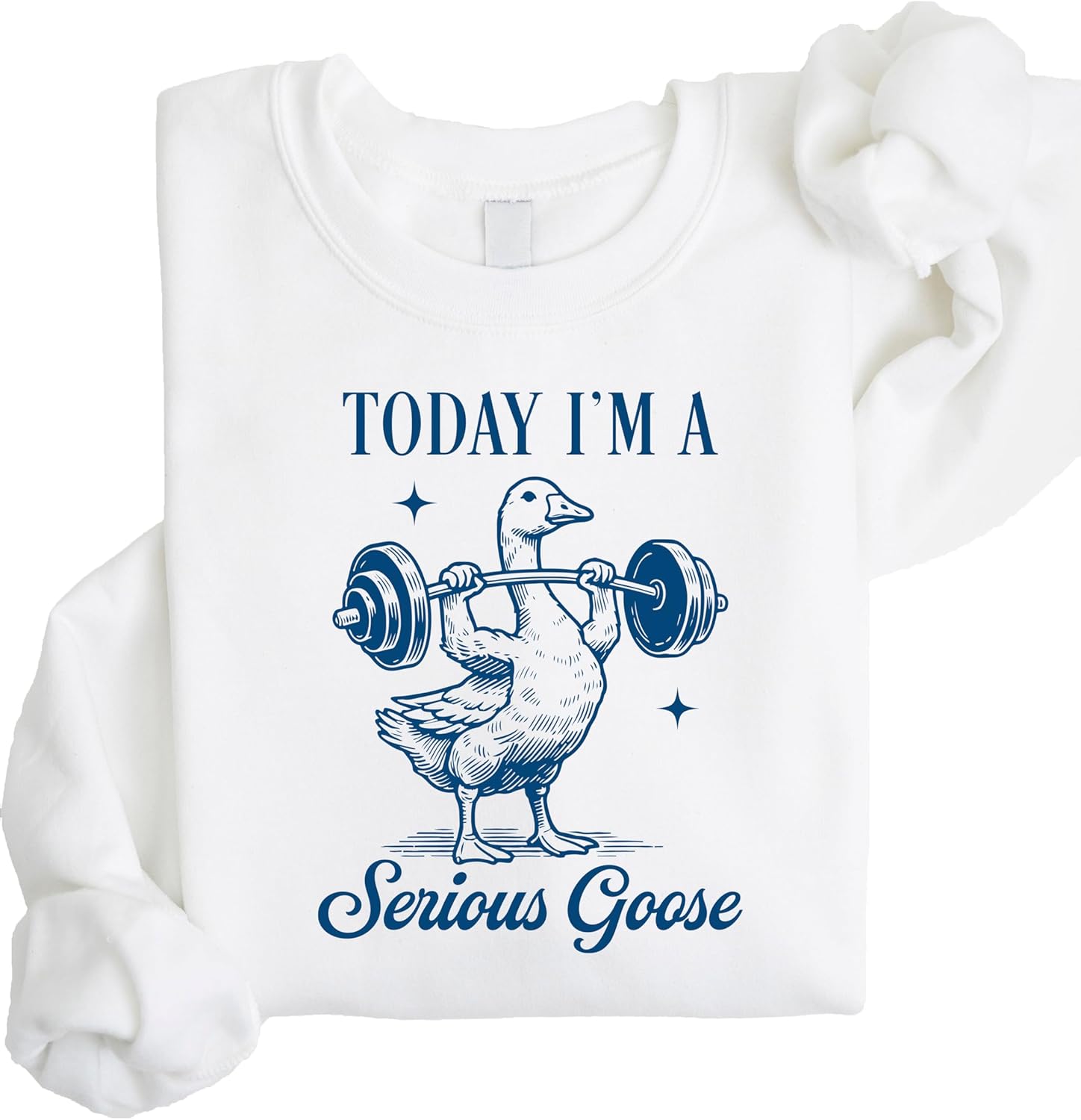 Olive Loves Apple Serious Goose Weightlifting Sweatshirt for Men, Women & Teens Crossfit Bodybuilding Pullover