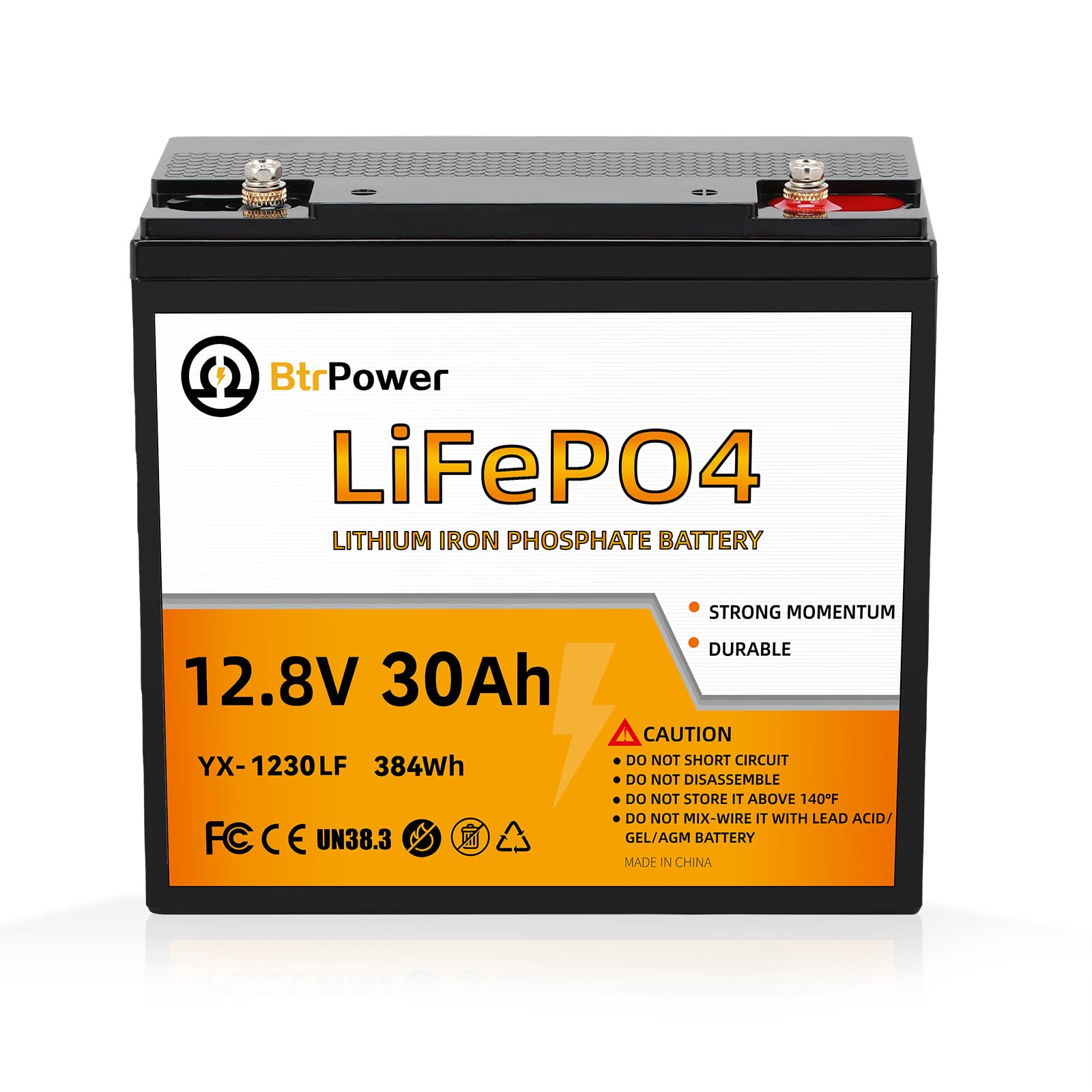 LiFePO4多目的バッテリー 12V 30Ah Amazon.com: 12V Lithium Battery-30Ah Lithium Phosphate Iron