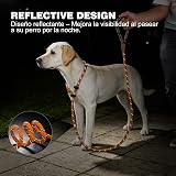 Ver la foto 7