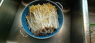 Review Image by Amazon Customer Amazon Customer